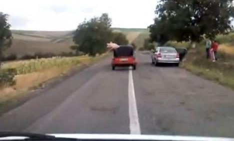 Incredibil: În România, porcii chiar zboară! (VIDEO)